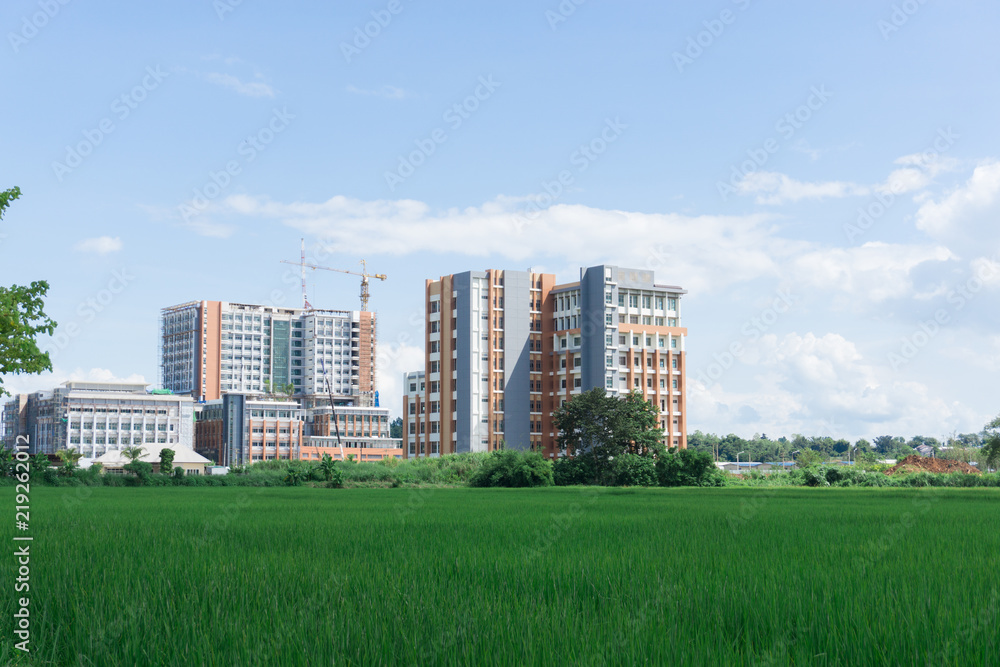Obraz premium View of construction site building between rice field, hospital building.