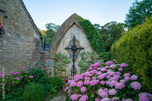 Purple hydrangea in a graveyard in Castle Combe, Wiltshire, England