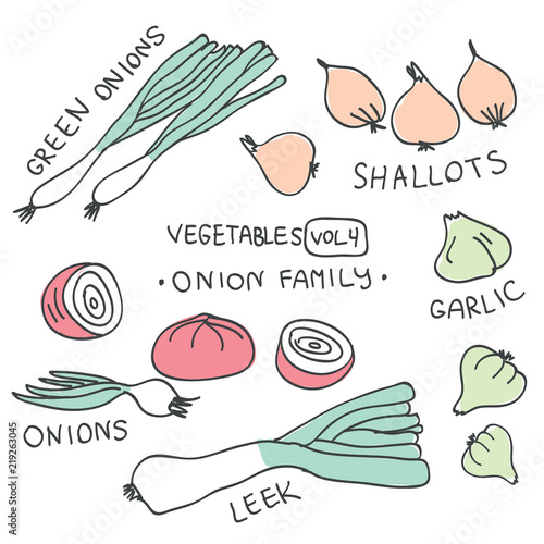 Set with hand drawn colorful doodle vegetables. Sketch style vector collection. Vegetables flat icons set
