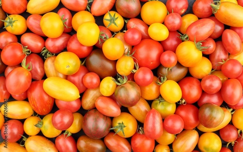 Tomatoes.