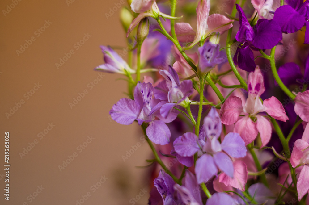 a bouquet of bright spring flowers of various types a bouquet of bright spring flowers of various types