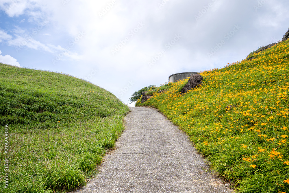 The Orange daylily(Tawny daylily) flower farm at Sixty Rock Mountain(Liushidan.mountain) with blue sky and cloud, Fuli, Hualien, Taiwan