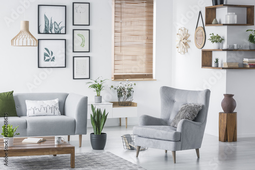 Wooden corner shelves with decor and fresh plants hanging on wall in real photo of bright living room interior with armchair with fur cushion, window with wooden blinds and coffee table photo