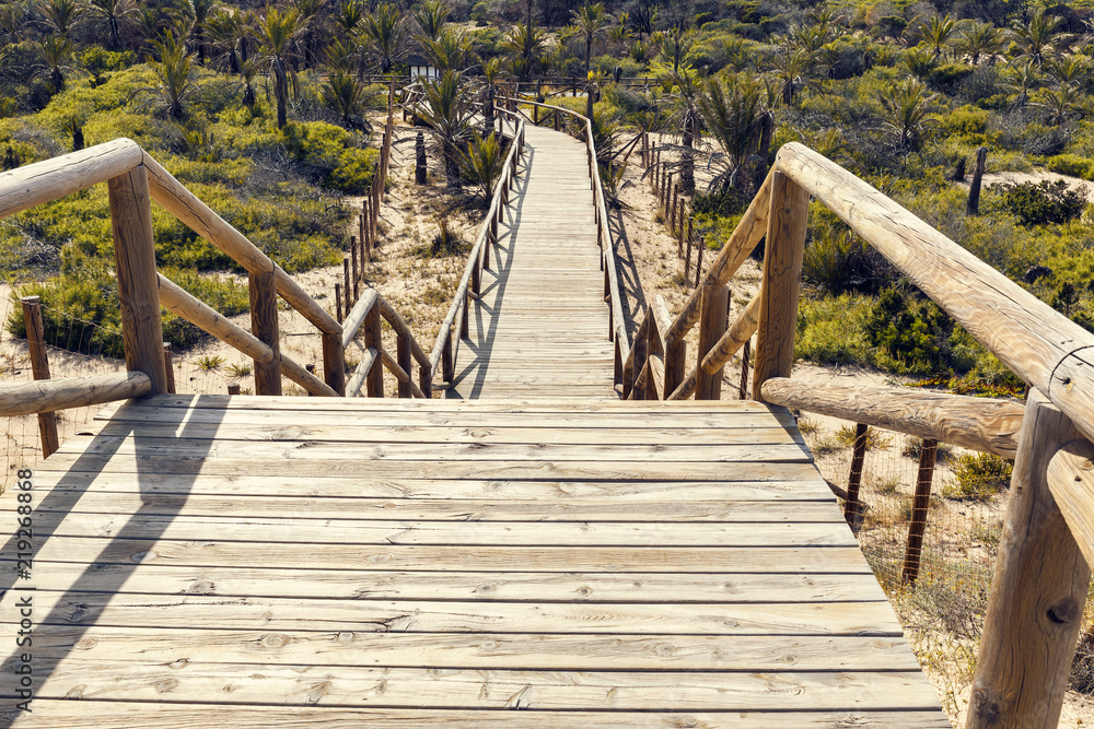 Obraz premium wooden stairway down to the park on sand dunes