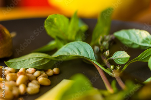 Fresh ingredients for preparing Italian pesto sauce - lemon basil sprigs, peeled seeds of cedar nuts, large garlic clove, Greek olive oil, Parmesan cheese photo