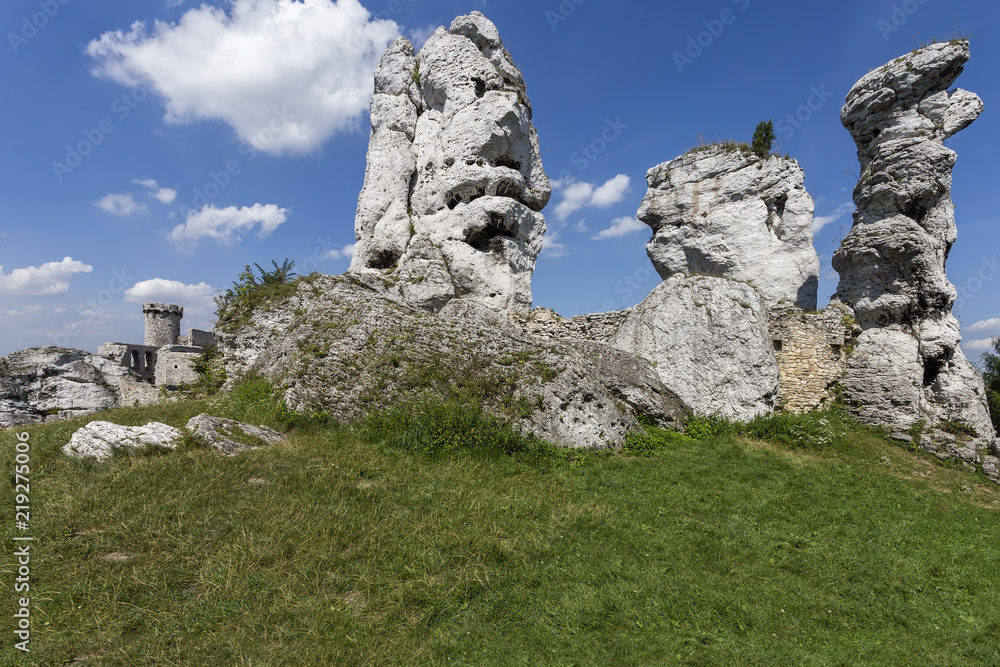 Fototapeta premium Ruins of the castle Ogrodzieniec - Poland
