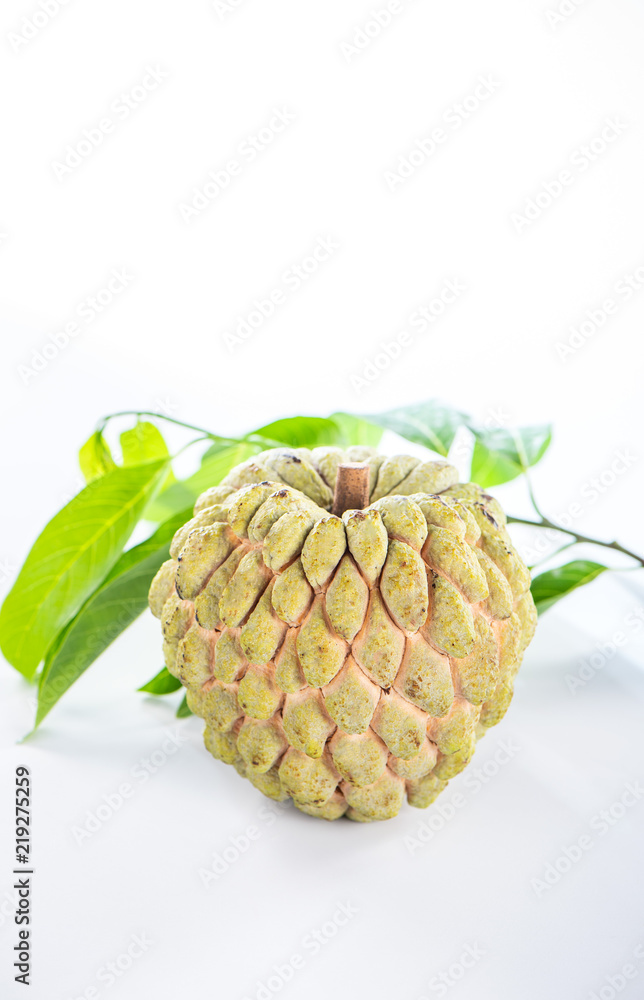Fototapeta premium fresh sugar apple fruit(Custard Apple),sweetsop on white background