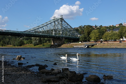 Bridge and birds © Hlio