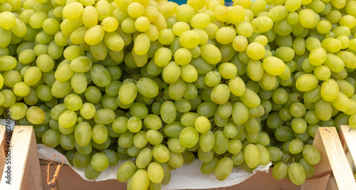 Juicy White Grapes 1