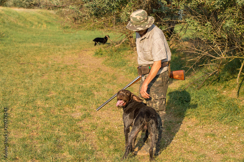 Hunter with a German trotter and spaniel  hunting a pheasant with dogs 