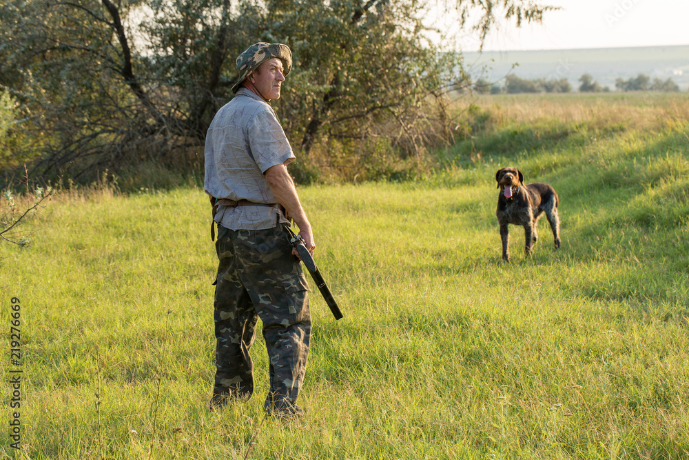 Hunter with a German trotter and spaniel, hunting a pheasant with dogs Hunter with a German trotter and spaniel, hunting a pheasant with dogs