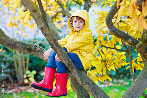 Cute little kid boy enjoying climbing on tree on autumn day. Preschool child in colorful autumnal clothes learning to climb, having fun in garden or park on warm sunny day photo