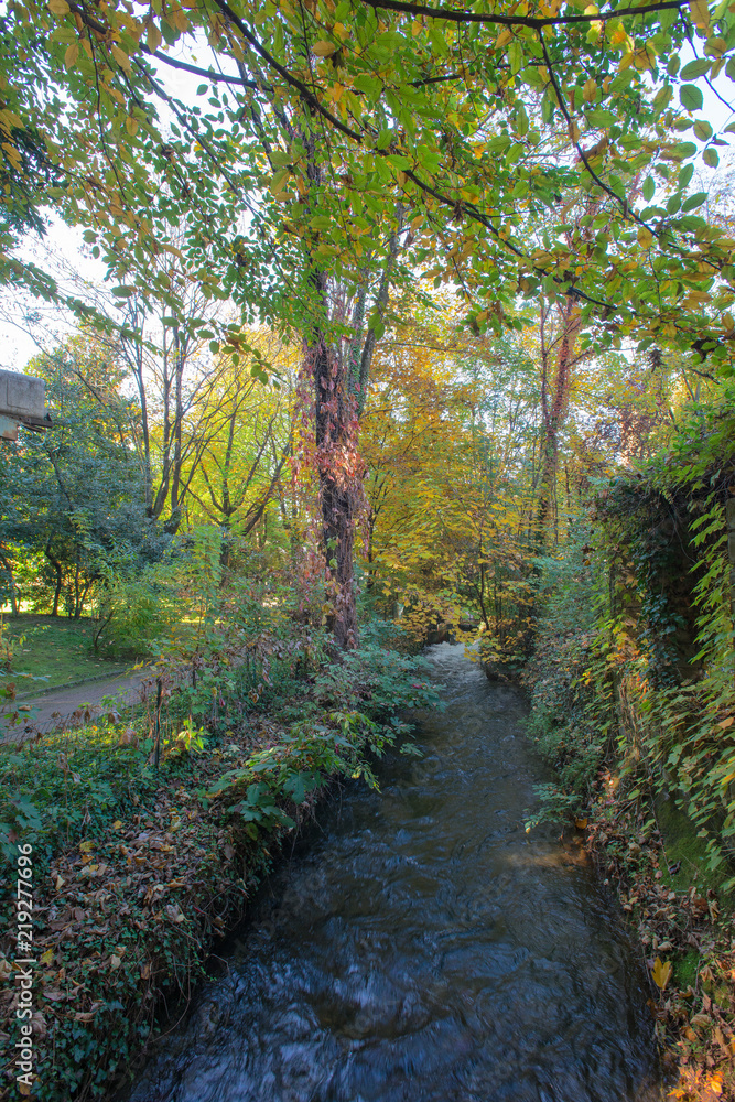 Autumn in the park of Lombardy Italy Autumn in the park of Lombardy Italy