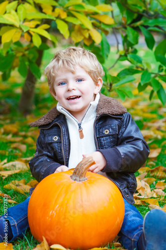 Little toddler kid boy with big orange pumpkin in autumn garden. cute child in fashion clothes having fun with huge vegetable. Traditional thanksgiving or halloween.