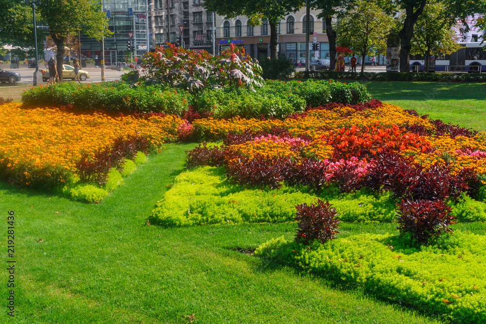 Obraz premium Beautiful Summer Garden Landscape. Colorful Flowers Decorative Composition On The Fresh Back Yard Lawn.