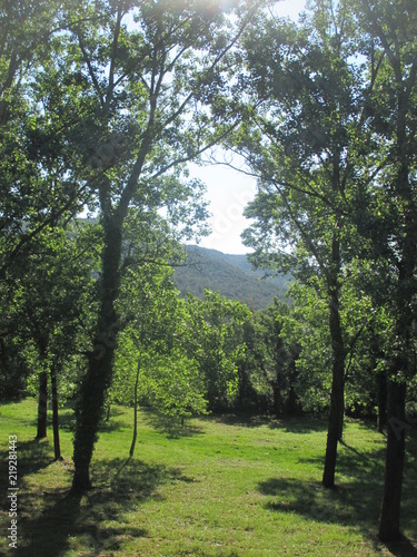 Vista desde los bosques en Cataluña