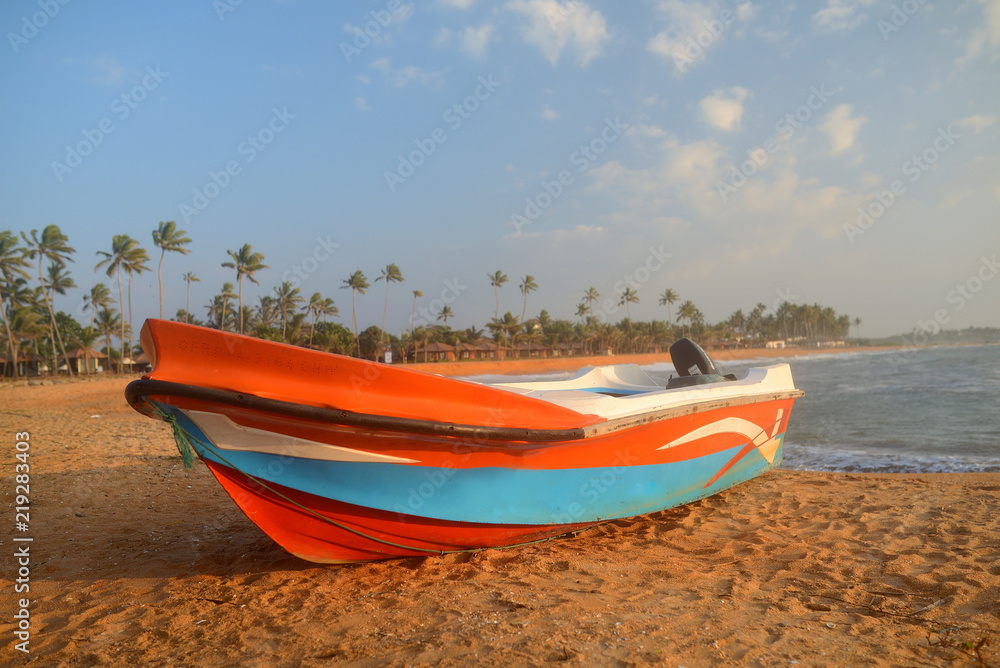 Sri Lanka. The Coast Of The Indian Ocean. The Wild Beach Sri Lanka. The Coast Of The Indian Ocean. The Wild Beach