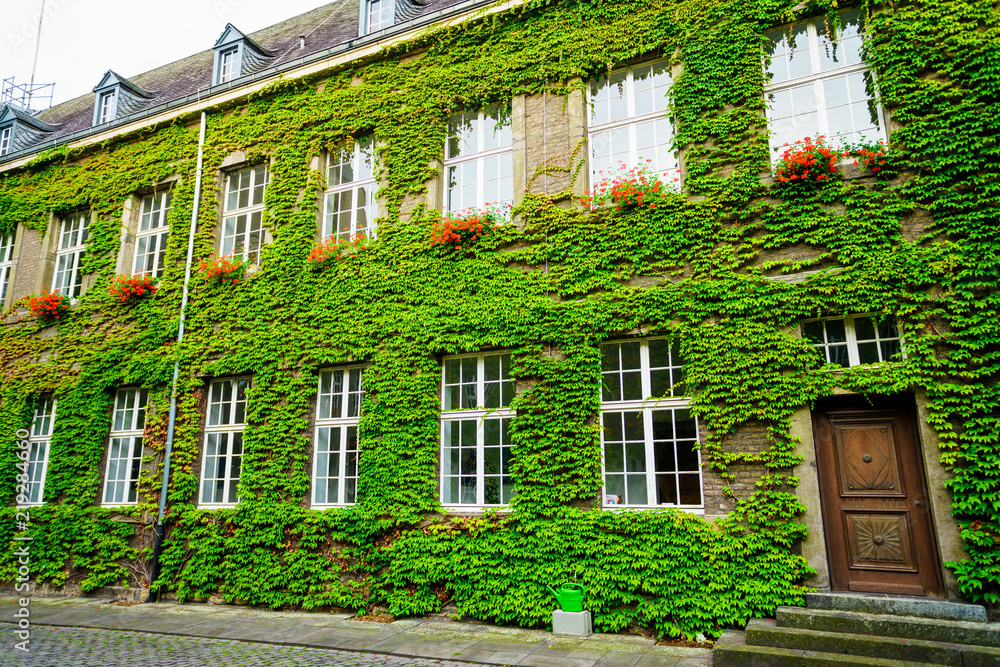 Old house covered by green ivy