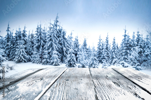 table background of free space for your decorationa and winter landscape of forest  © magdal3na