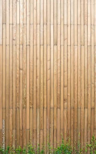 Wooden plank in vertical pattern with green climber