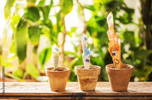 Geld wachsen aus den Blumentöpfen raus