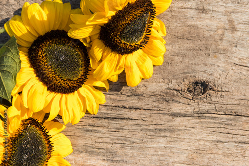 Fototapeta Naklejka Na Ścianę i Meble -  Decorative sunflowers on the wooden background