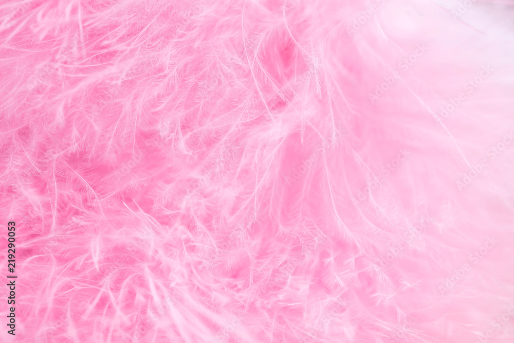 Macro shot of pink bird fluffy feathers in soft and blur style Macro shot of pink bird fluffy feathers in soft and blur style