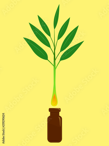 Tea Tree Oil Illustration