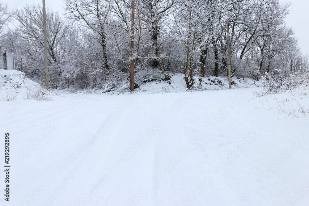 Fototapeta premium Forked rural snowy road