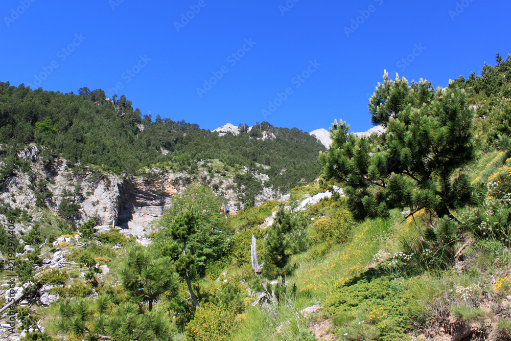 Greece. Mount Olympus. Natural landscape.