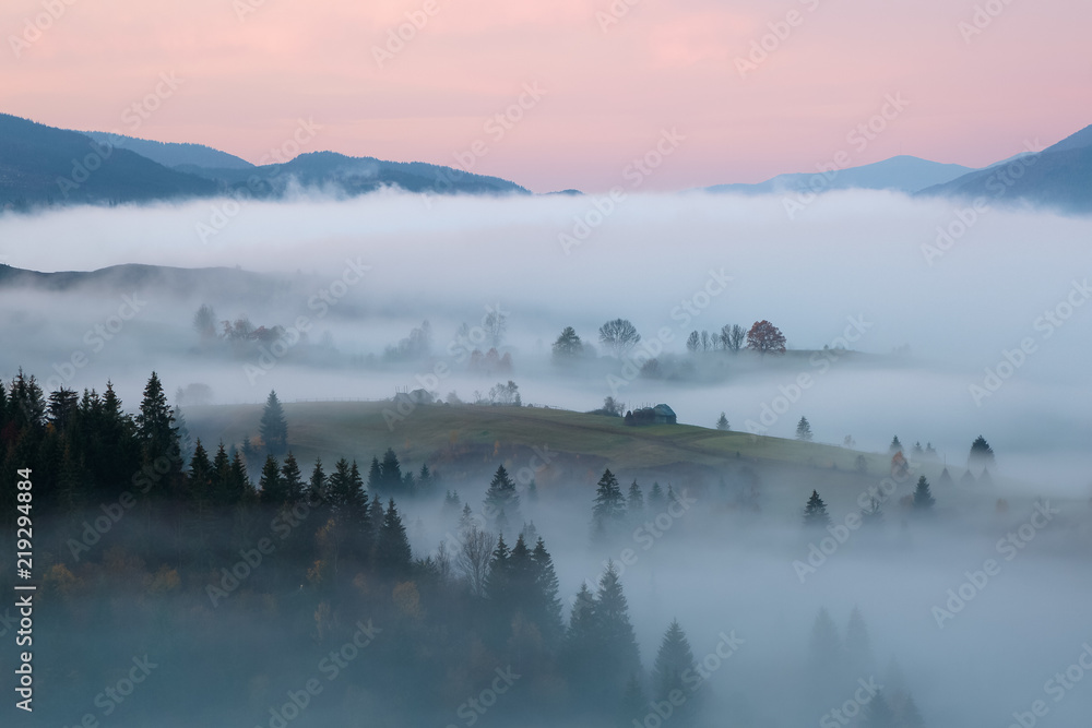Scenery of the sunrise at the high mountains. Dense fog with beautiful light. A place to relax in the Carpathian Park. Hoverla, Carpathians, Ukraine, Europe.