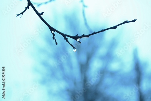 Spring