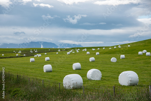 Silage in Ballenform