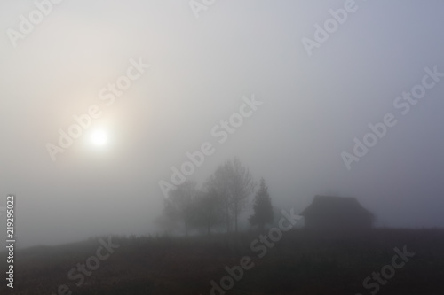 Old hut is on the lawn. The scenery with thick fog, trees, sun. Nice cold autumn morning. Location Carpathians, Ukraine, Europe.