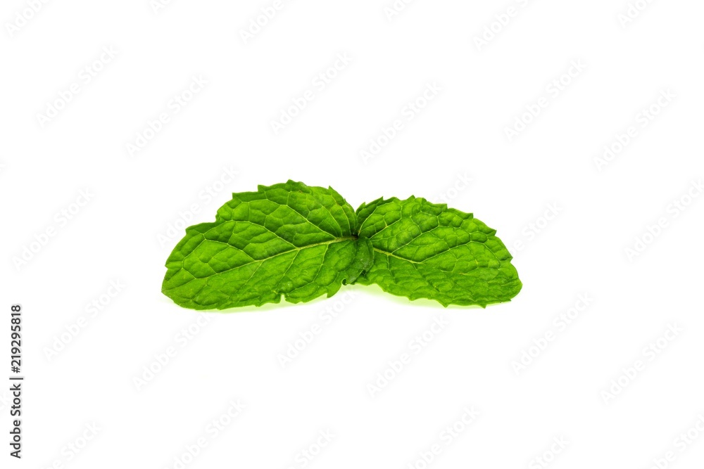 Mint leaves isolated on white background. Mint leaves isolated on white background.