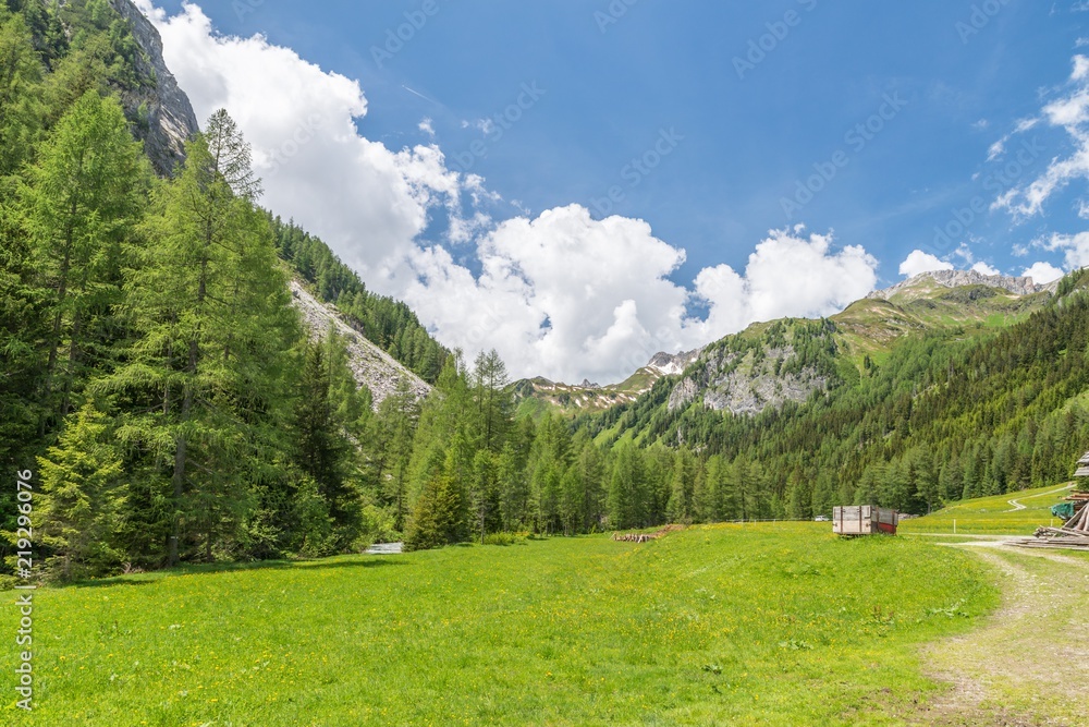 Naturpark Riedingtal Zederhaus mit Blick auf die Berge, Österreich