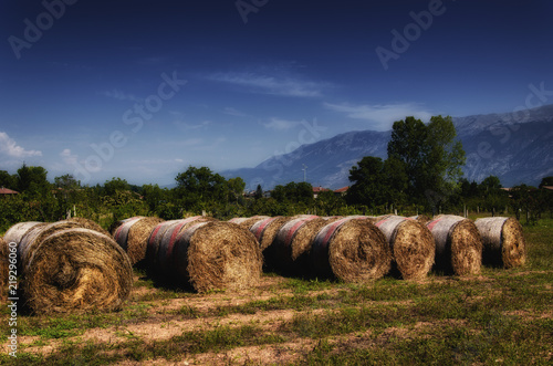 hay bales on lawn