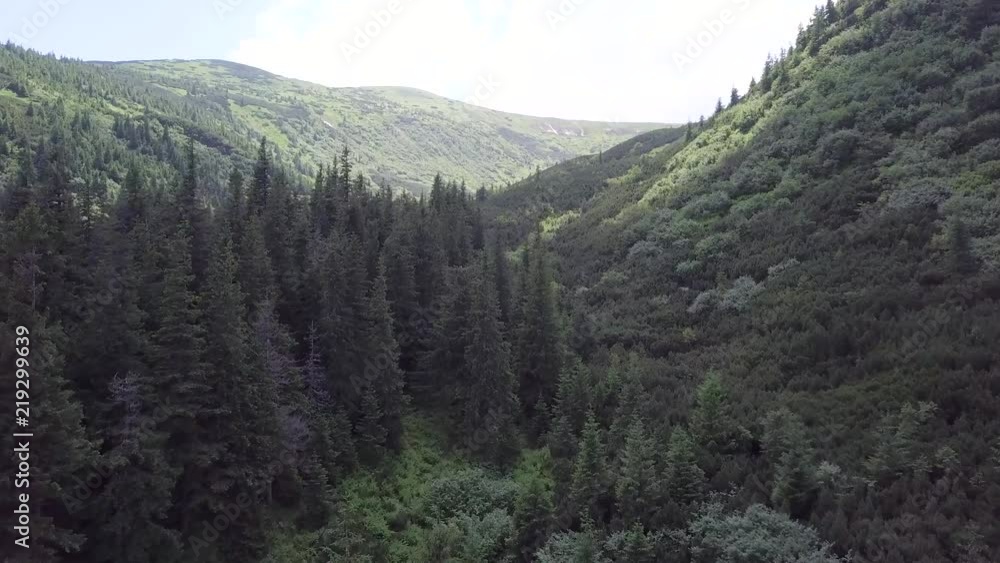 Aerial view of the summer mountain landscape. Carpathians. Ukraine
Aerial view of the summer mountain landscape. Carpathians. Ukraine