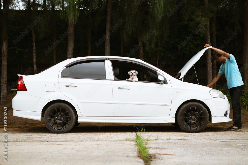Stressed asian man looking at the engine of broken car with his cutely dog for transportation and vehicle concept Stressed asian man looking at the engine of broken car with his cutely dog for transportation and vehicle concept