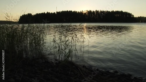 Finlande lake shore with reeds at dawn