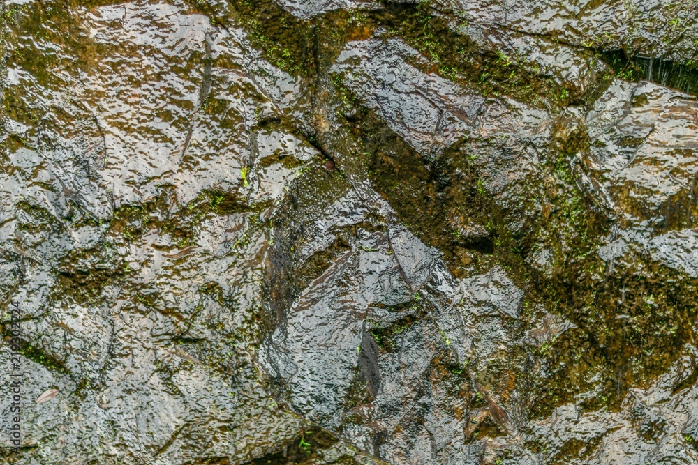 Image Of pattern art on wet stone in raining season Image Of pattern art on wet stone in raining season