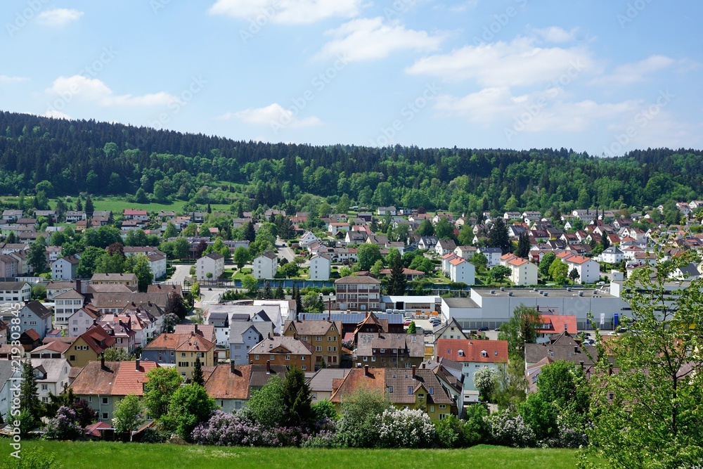 Stadt Tuttlingen in Süddeutschland im Sommer