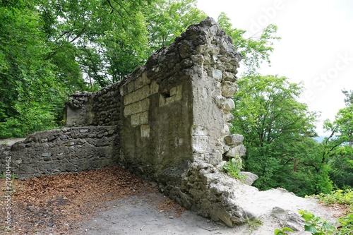 Hohenfels Burg Ruine in Sipplingen photo