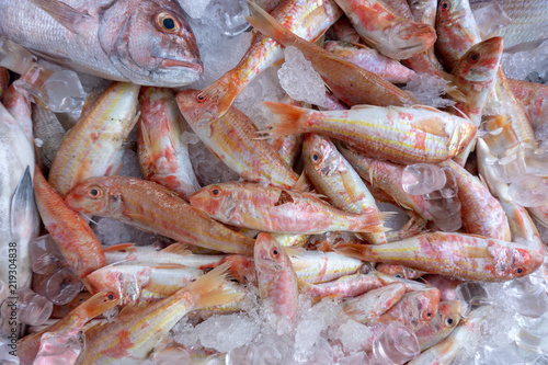 Fresh fishes on market stall