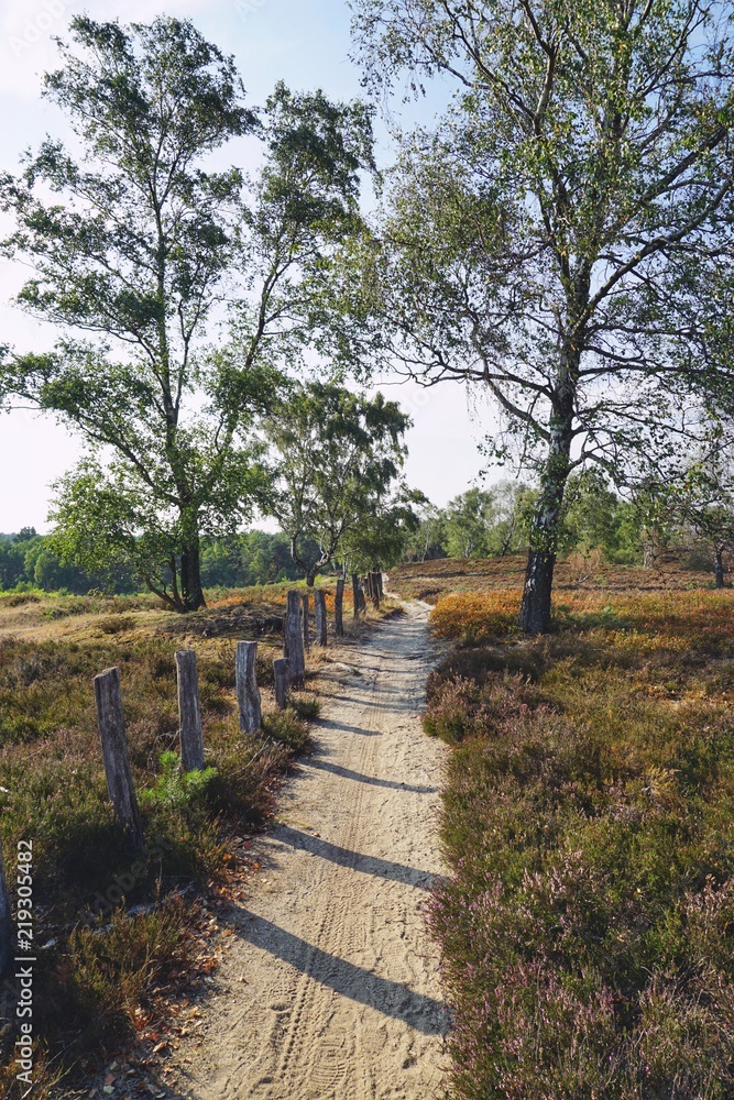 Weg  durch die Heide | Fischbeker Heide in Hamburg