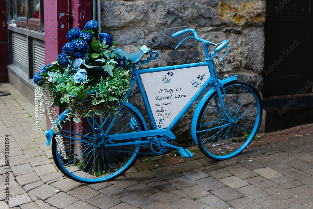 Bike with plant against wall in Ireland