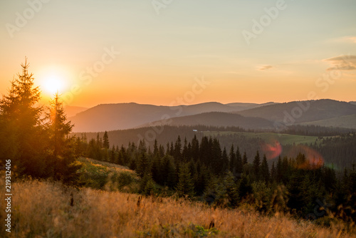 landscape mountains in europe, nature carpathian in the evening in summer