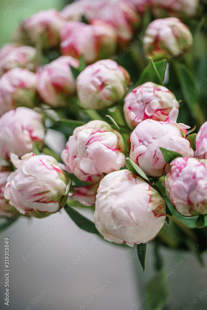 balls bud. Lovely flowers in glass vase. Beautiful bouquet of pink peonies . Floral composition, scene, daylight. Wallpaper