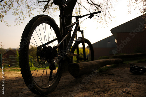 Bike Silhouette