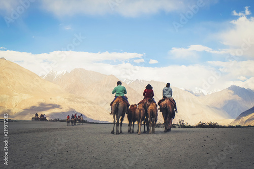 Group of tourists are riding camels in the desert at Nubra Valley in Ladakh India. This is famous desert in Nubra Valley.